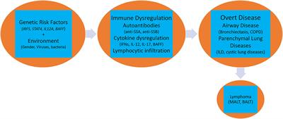 Pulmonary Manifestations of Primary Sjögren's Syndrome: Underlying Immunological Mechanisms, Clinical Presentation, and Management